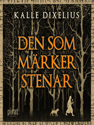 cover image of Den som märker stenar